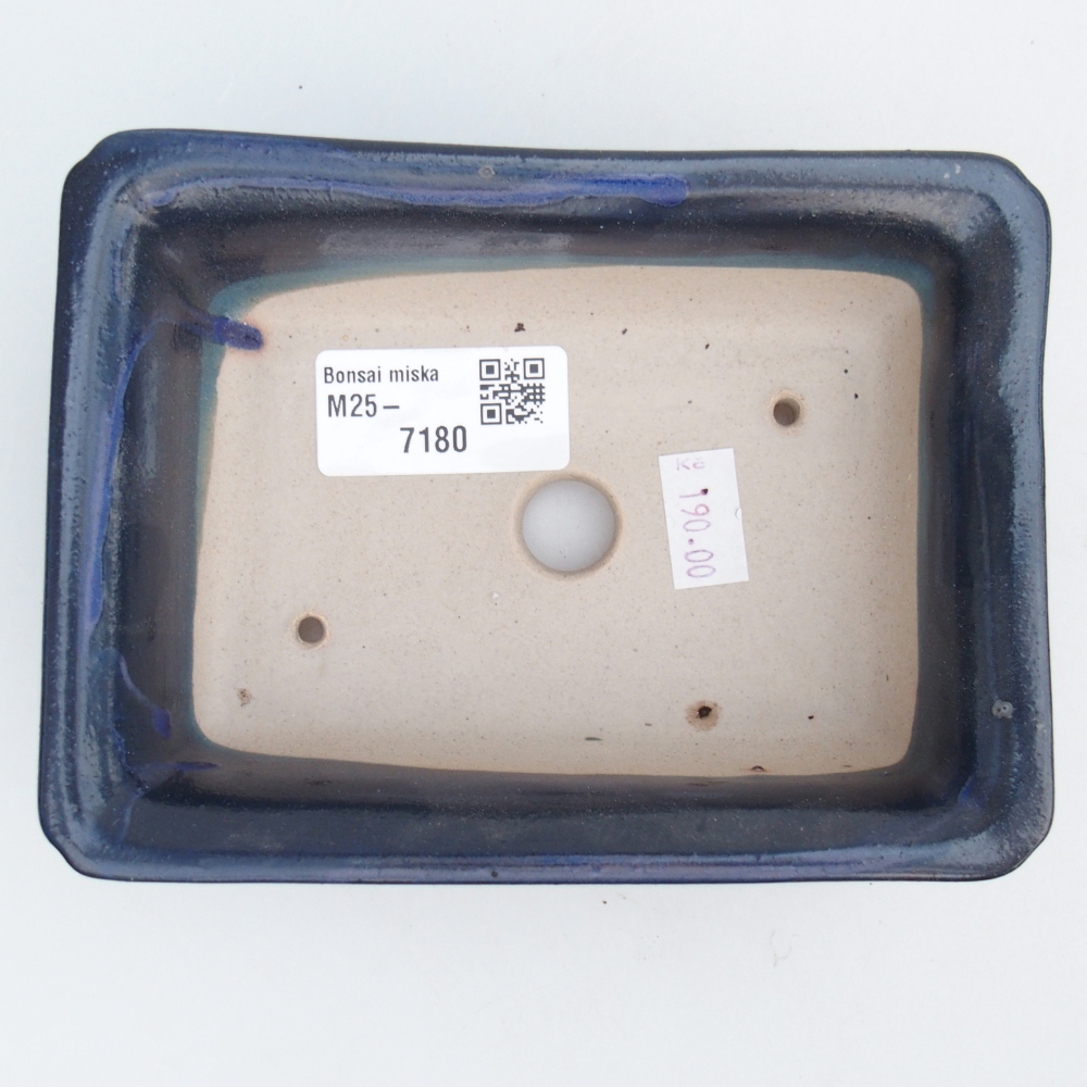 Cuenco bonsái de cerámica 14 x 10,5 x 4 cm, color azul