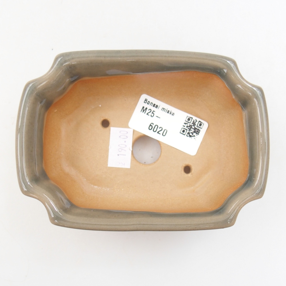 Cuenco bonsái de cerámica 22 x 17 x 5 cm, verde