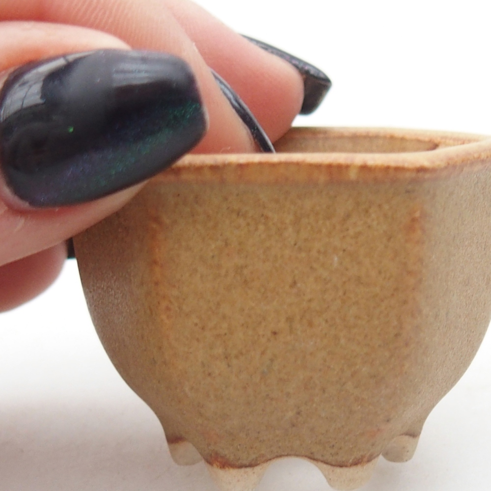 Cuenco mini bonsái 4 x 3,5 x 3 cm, marrón