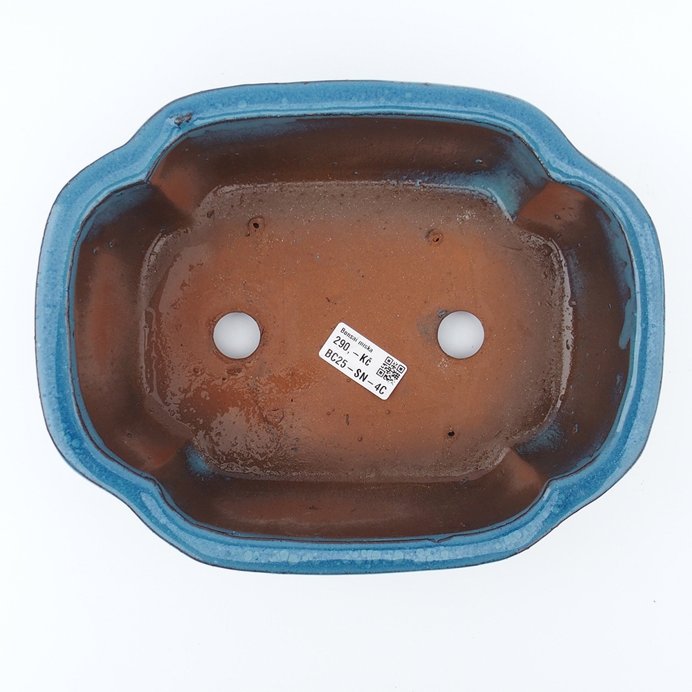 Cuenco 26 x 20 x 8,5 cm azul