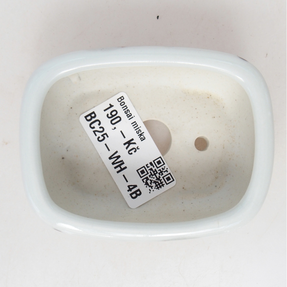 Mini cuenco bonsái 8 x 6 x 3 cm, blanco