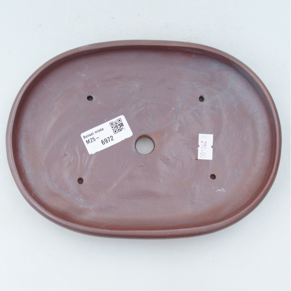 Cuenco bonsái de cerámica 22,5 x 16,5 x 3 cm, color metálico