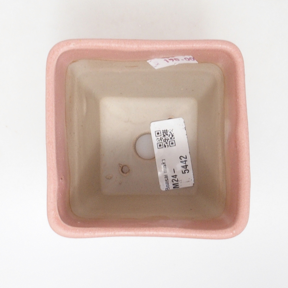 Cuenco bonsái de cerámica 8,5 x 8,5 x 11 cm, rosa