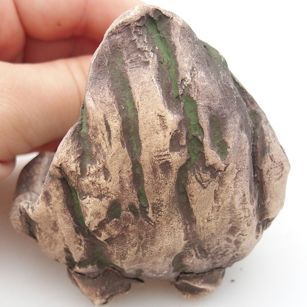 Concha de cerámica 6,5 x 6,5 x 8 cm , color verde