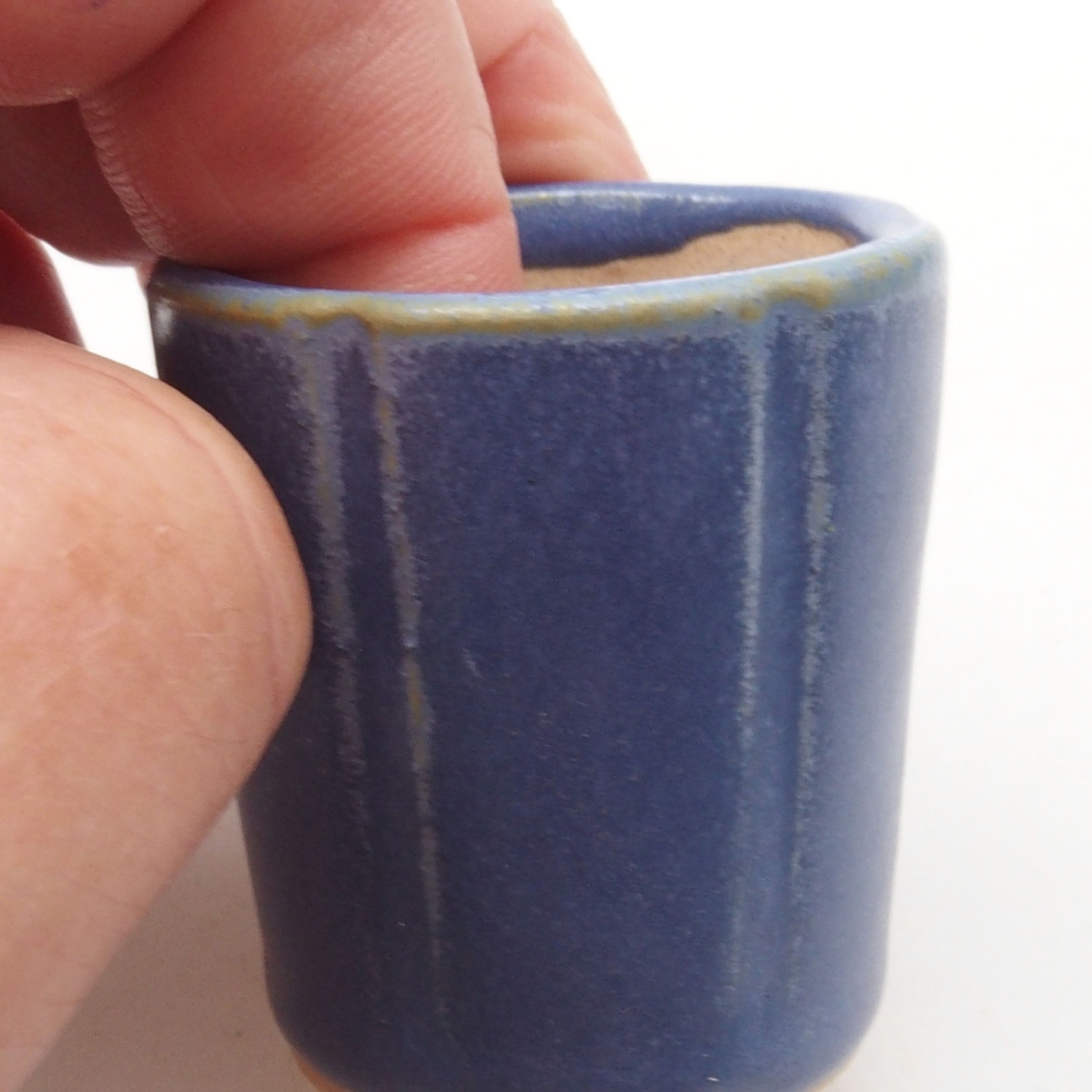 Mini cuenco bonsái 3,5 x 3,5 x 4 cm, color azul