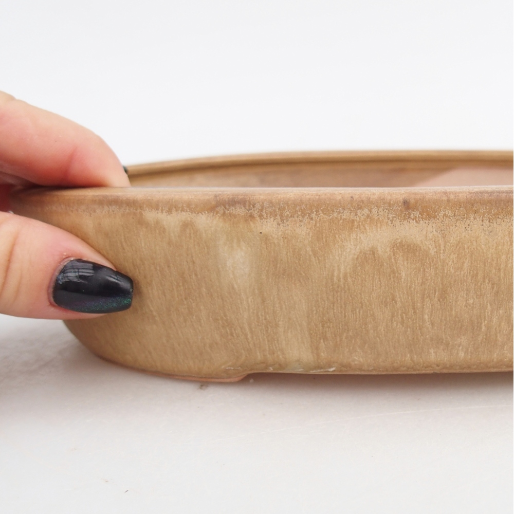 Cuenco bonsái de cerámica 22,5 x 17 x 4,5 cm, color beige
