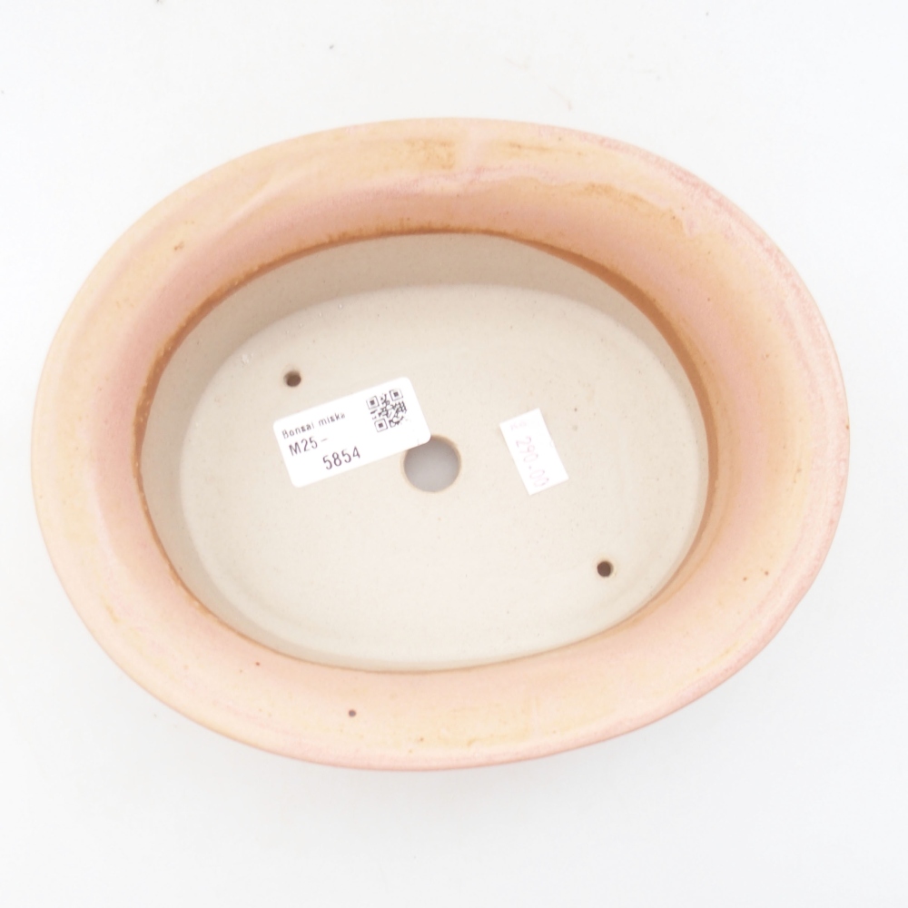 Cuenco bonsái de cerámica 22 x 17 x 5 cm, verde