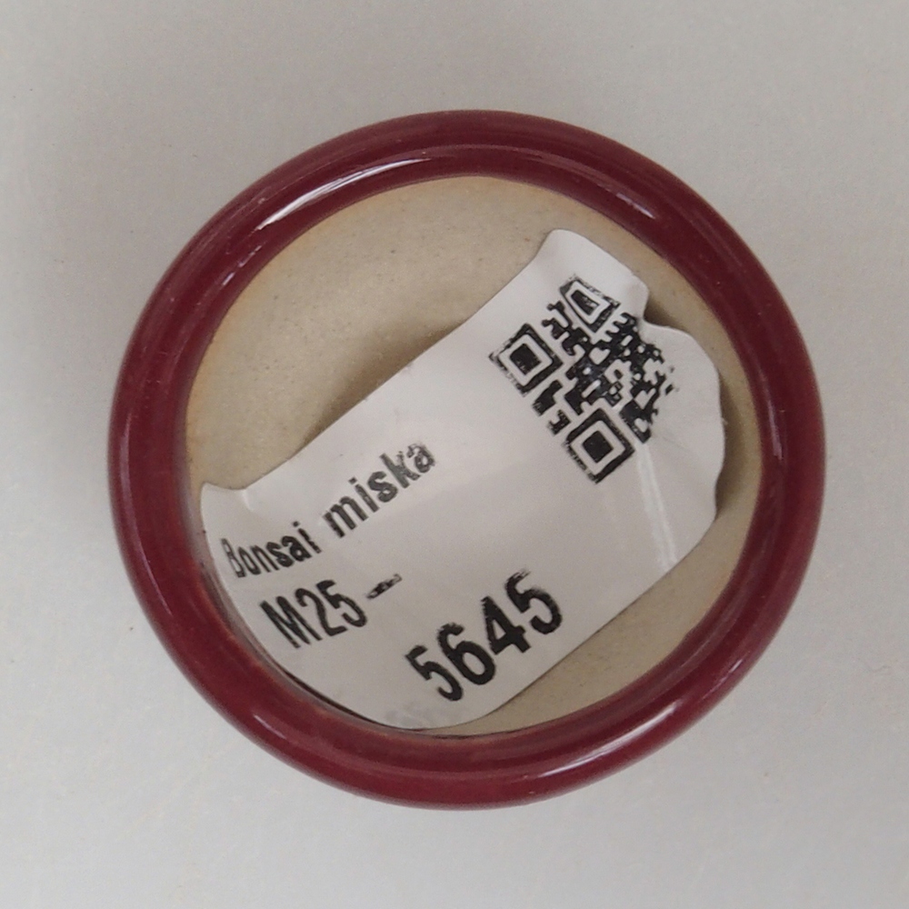 Cuenco mini bonsái 3,5 x 3,5 x 2 cm, burdeos
