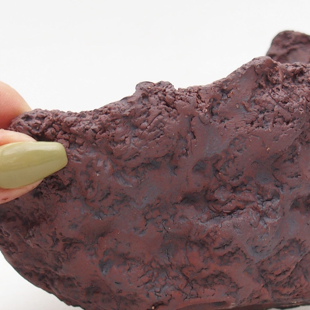 Concha de cerámica 14 x 13 x 11,5 cm , color marrón