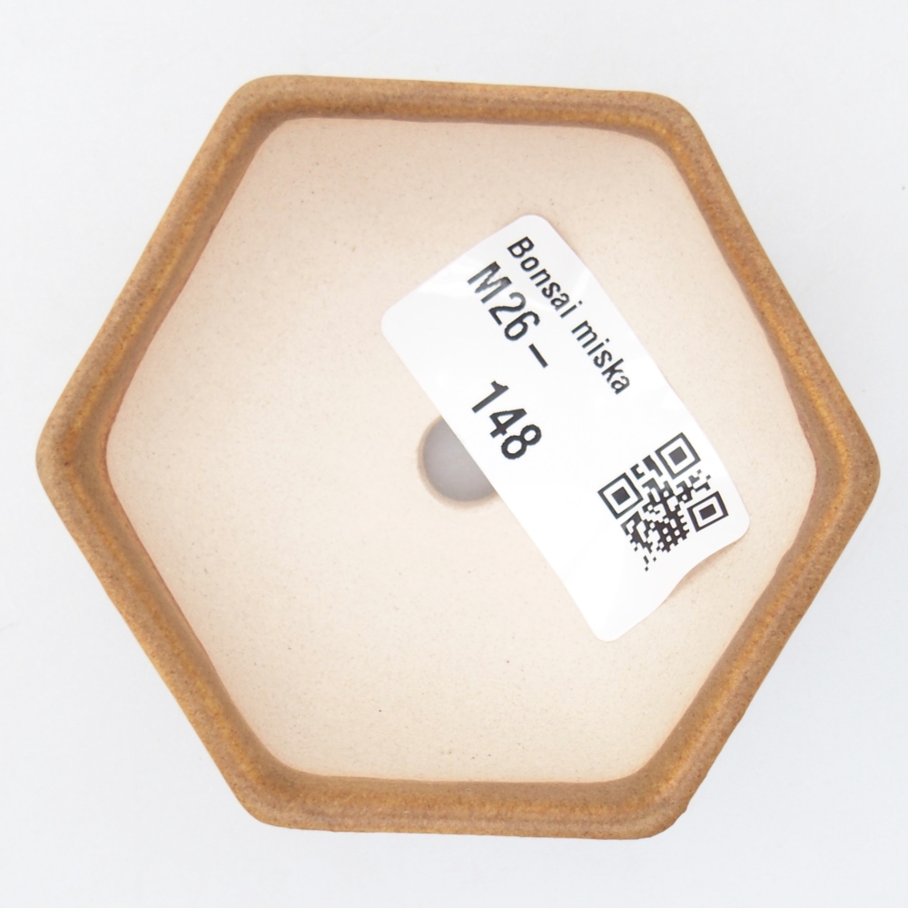 Cuenco mini bonsái 7 x 6 x 3 cm, marrón