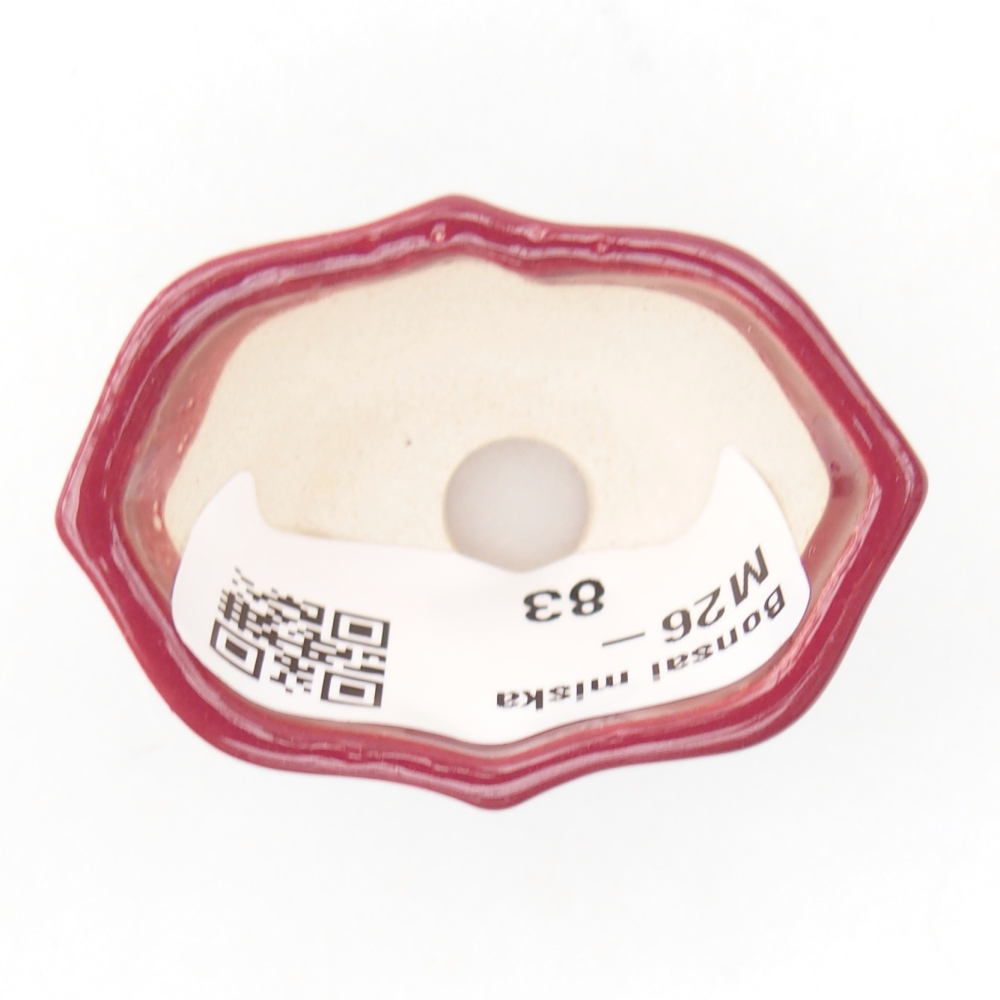 Cuenco mini bonsái 4,5 x 3 x 2,5 cm, burdeos