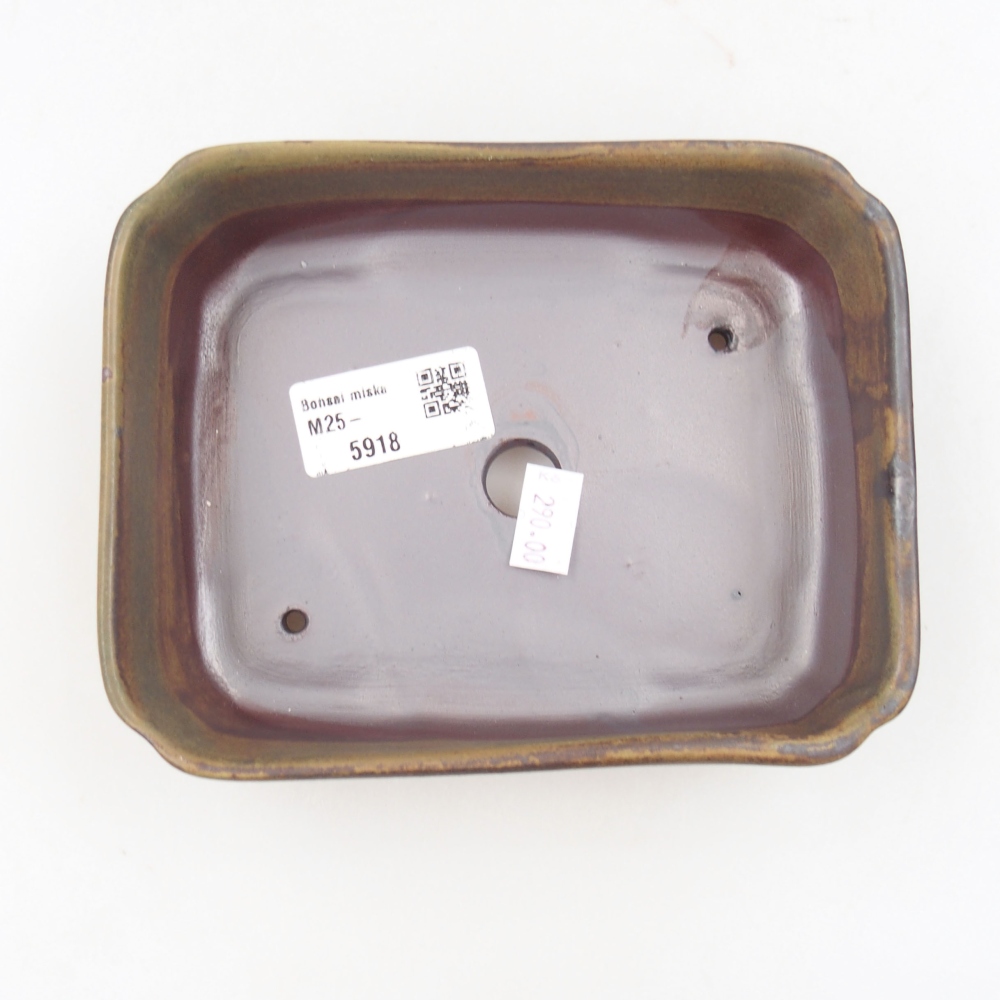 Cuenco bonsái de cerámica 22 x 17 x 5 cm, verde