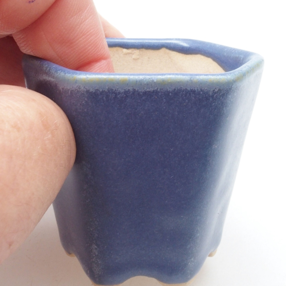 Mini cuenco bonsái 5 x 5 x 5 cm, color azul