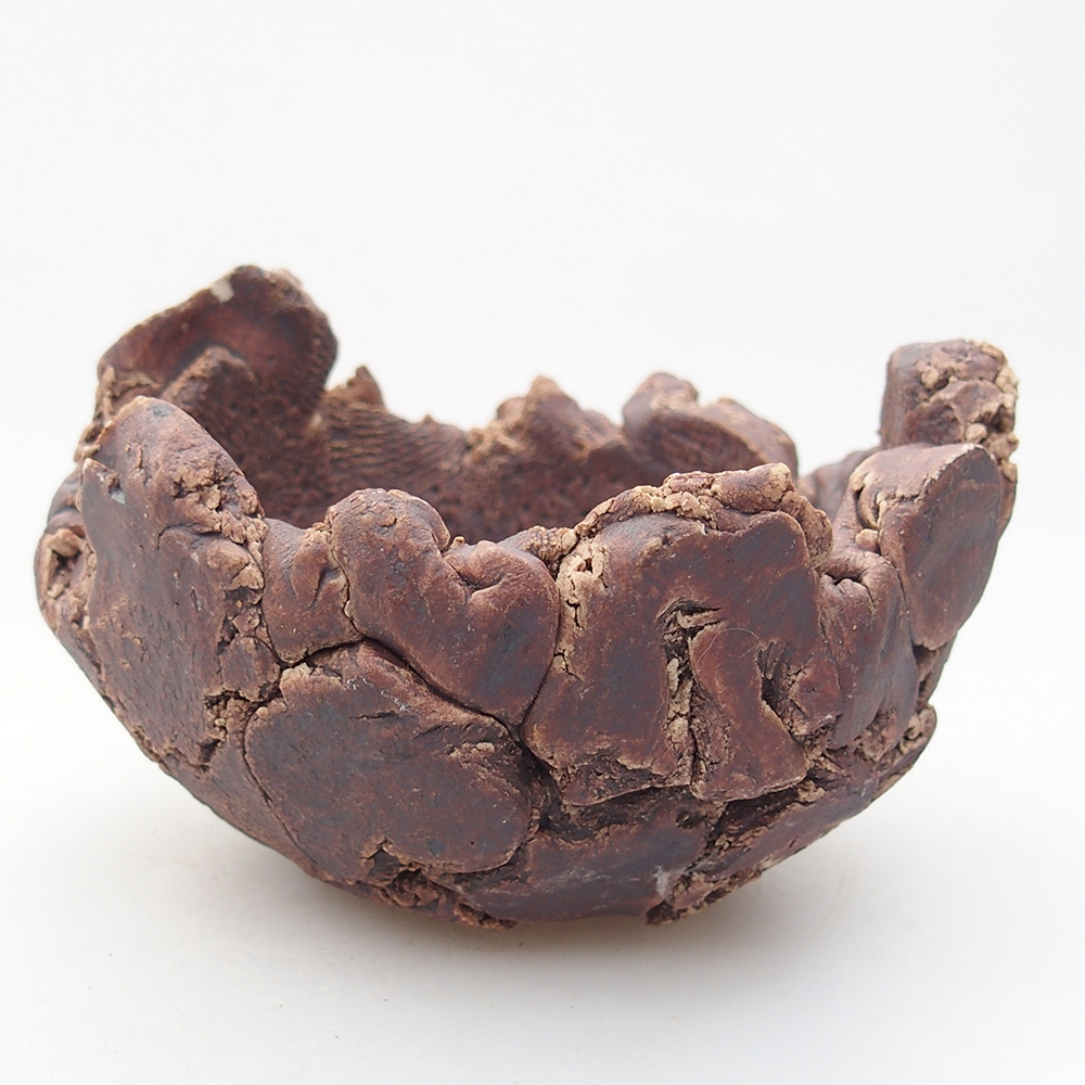 Concha de cerámica 9 x 9 x 6 cm , color marrón