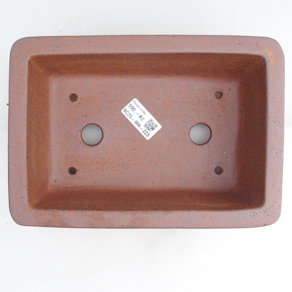 Cuenco bonsái de cerámica 24 x 17 x 7 cm, marrón