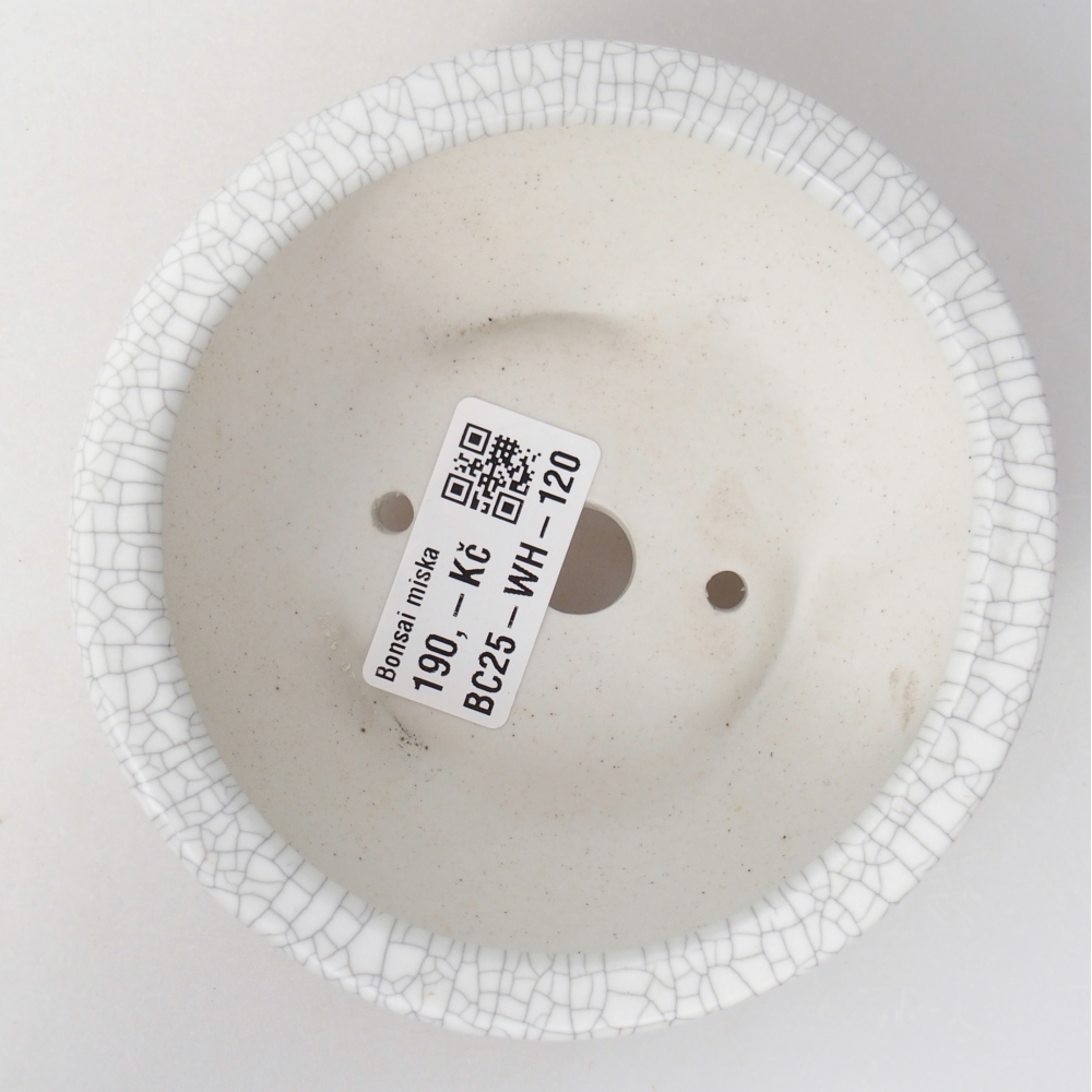 Cuenco bonsái de cerámica 11,5 x 11,5 x 4,5 cm, color raku