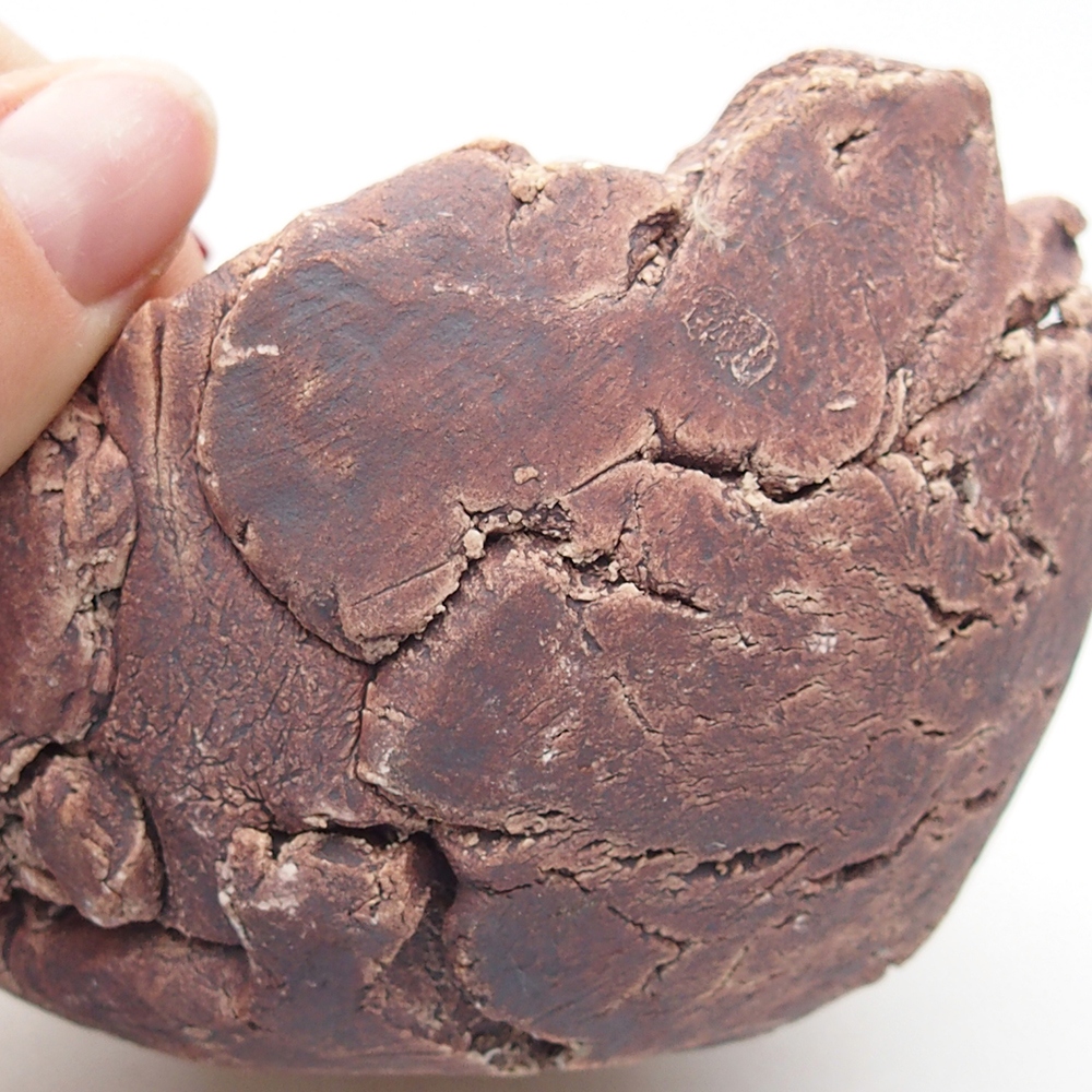 Concha de cerámica 9,5 x 9 x 7 cm , color marrón