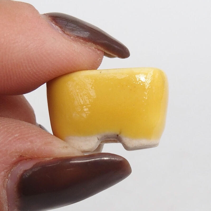 Cuenco mini bonsái 2,5 x 1,5 x 1 cm, amarillo