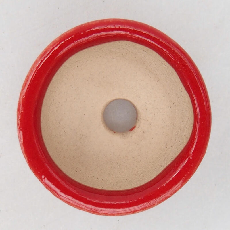 Cuenco mini bonsái 2,5 x 2,5 x 1,5 cm, color rojo