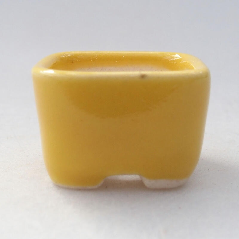 Cuenco mini bonsái 2,5 x 2,5 x 1,5 cm, amarillo