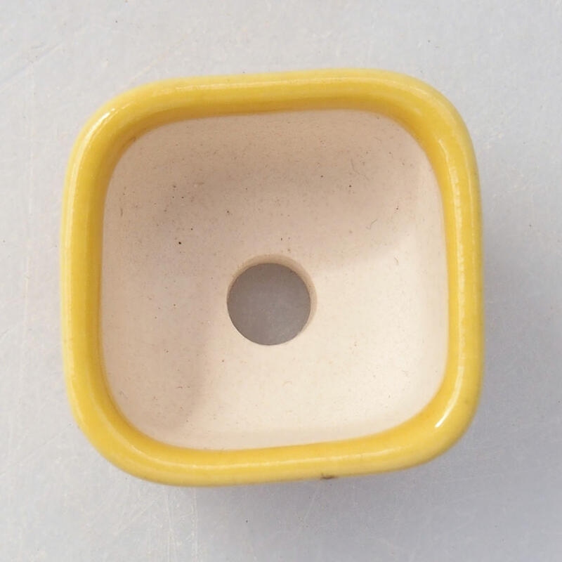 Cuenco mini bonsái 2,5 x 2,5 x 1,5 cm, amarillo