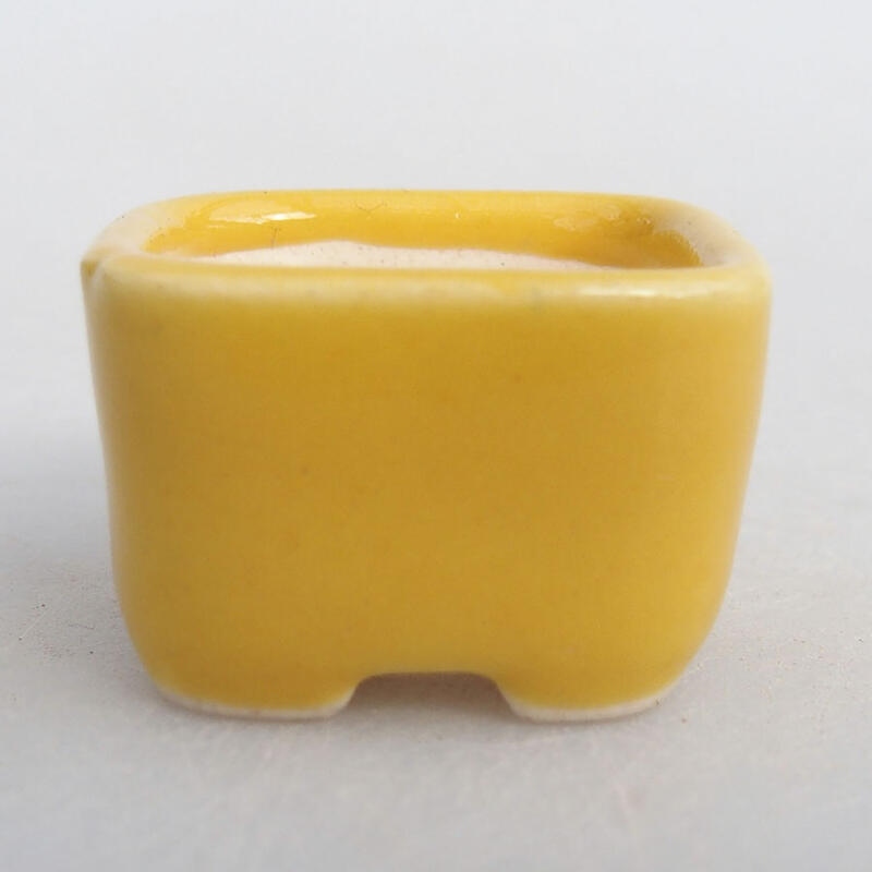 Cuenco mini bonsái 2,5 x 2,5 x 1,5 cm, amarillo