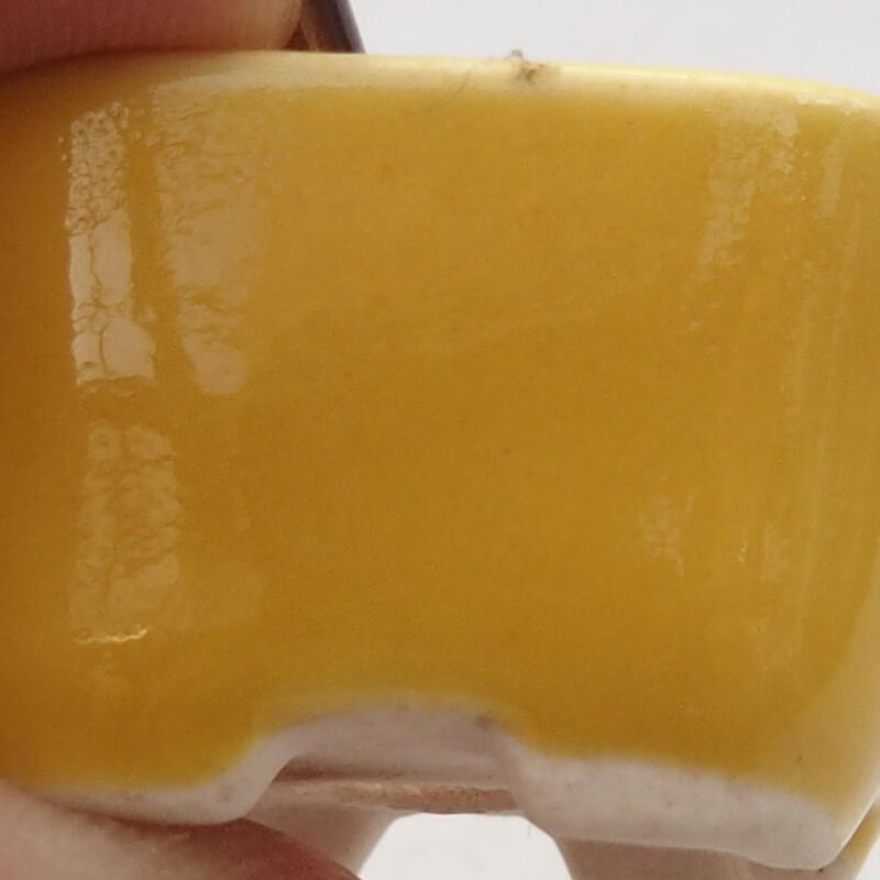 Cuenco mini bonsái 2,5 x 2,5 x 1,5 cm, amarillo
