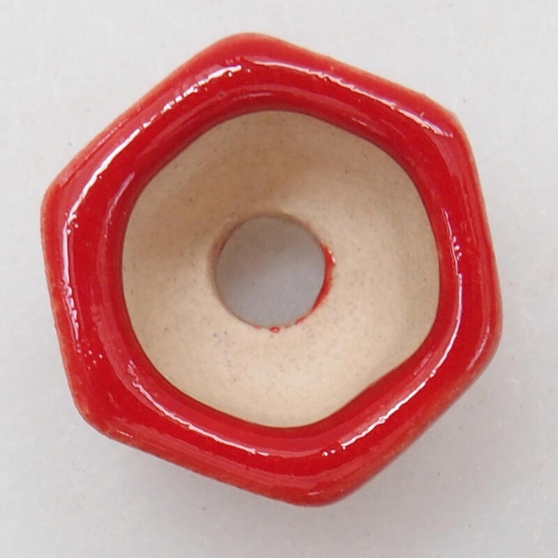 Cuenco mini bonsái 2 x 2 x 1,5 cm, color rojo