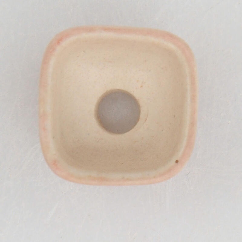 Cuenco mini bonsái 2 x 2 x 1,5 cm, rosa