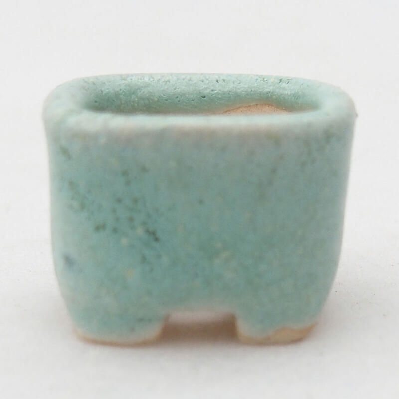 Cuenco mini bonsái 2 x 2 x 1,5 cm, verde