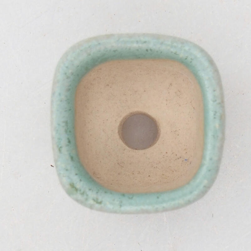 Cuenco mini bonsái 2 x 2 x 1,5 cm, verde