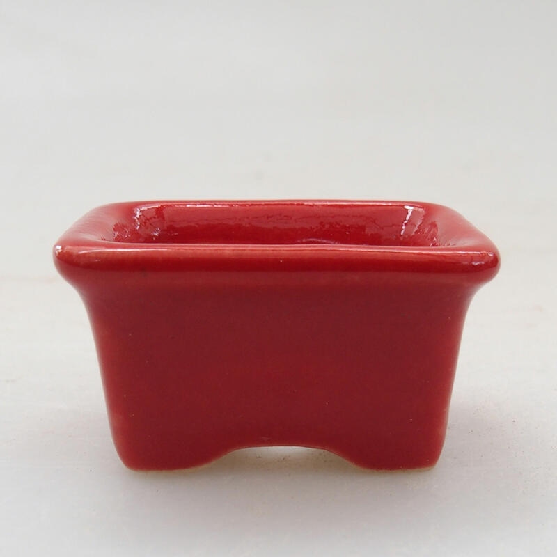 Cuenco mini bonsái 3,5 x 2,5 x 2 cm, color rojo