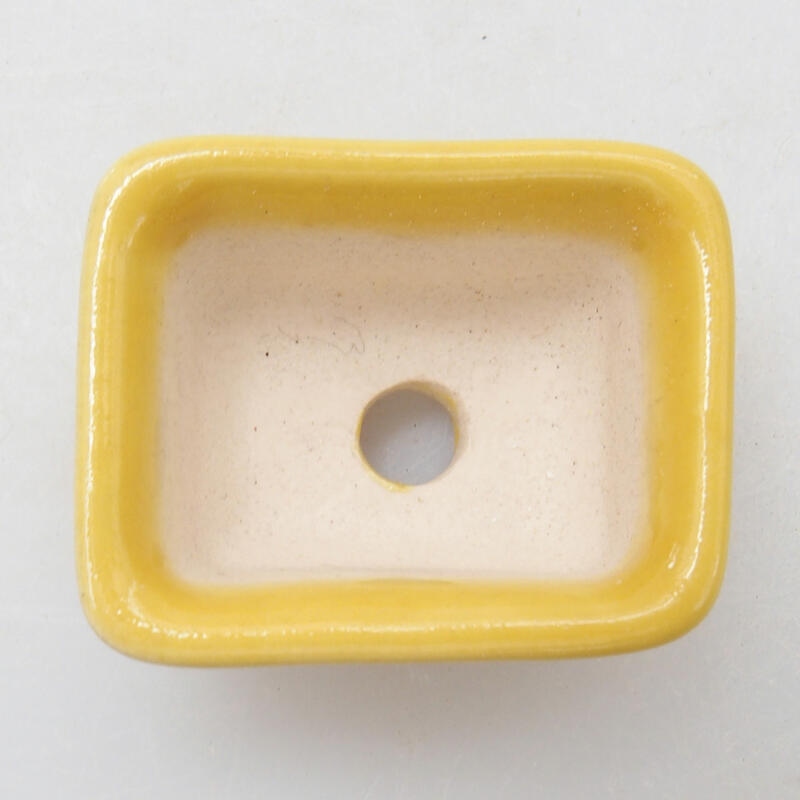 Cuenco mini bonsái 3,5 x 2,5 x 2 cm, amarillo