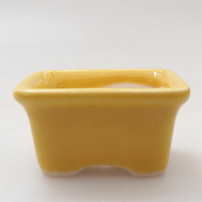 Cuenco mini bonsái 3,5 x 2,5 x 2 cm, amarillo