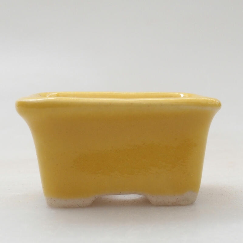 Cuenco mini bonsái 3,5 x 2,5 x 2 cm, amarillo