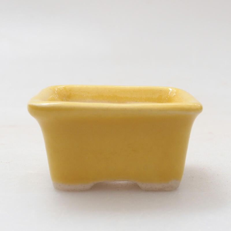 Cuenco mini bonsái 3,5 x 2,5 x 2 cm, amarillo