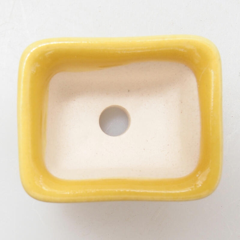 Cuenco mini bonsái 3,5 x 2,5 x 2 cm, amarillo
