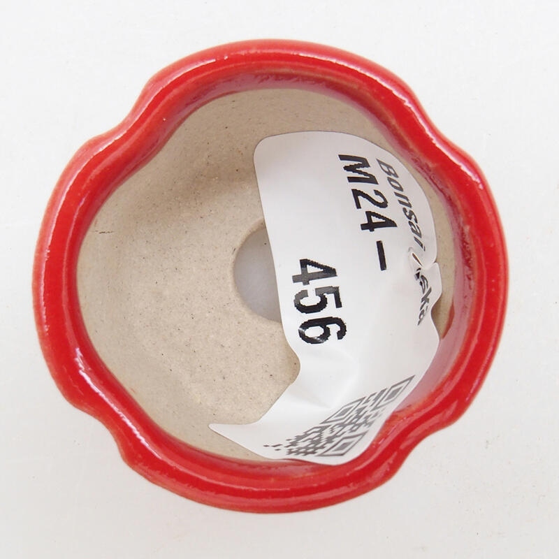 Cuenco mini bonsái 3,5 x 3,5 x 2,5 cm, color rojo