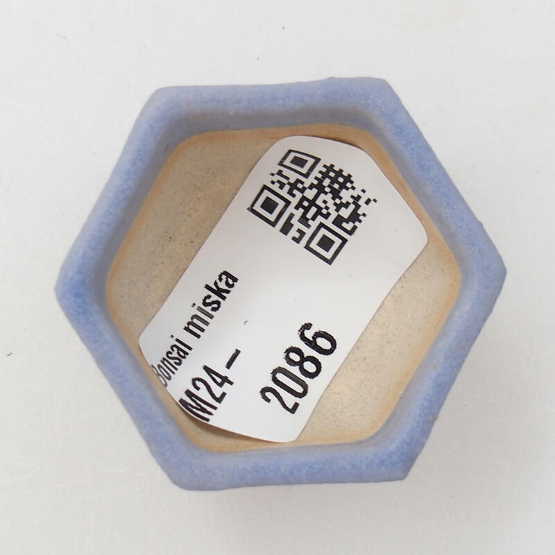 Mini cuenco bonsái 3,5 x 3,5 x 2,5 cm, color azul