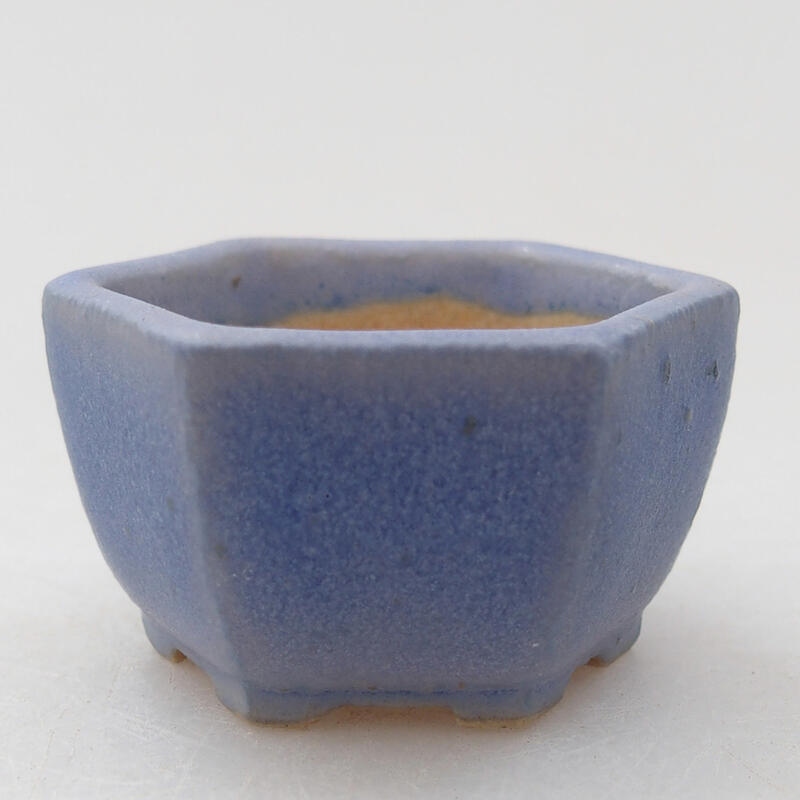 Mini cuenco bonsái 3,5 x 3,5 x 2,5 cm, color azul