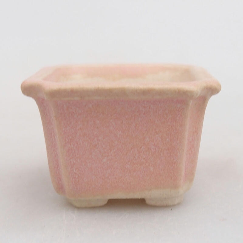 Mini cuenco bonsái 3,5 x 3,5 x 2,5 cm, rosa