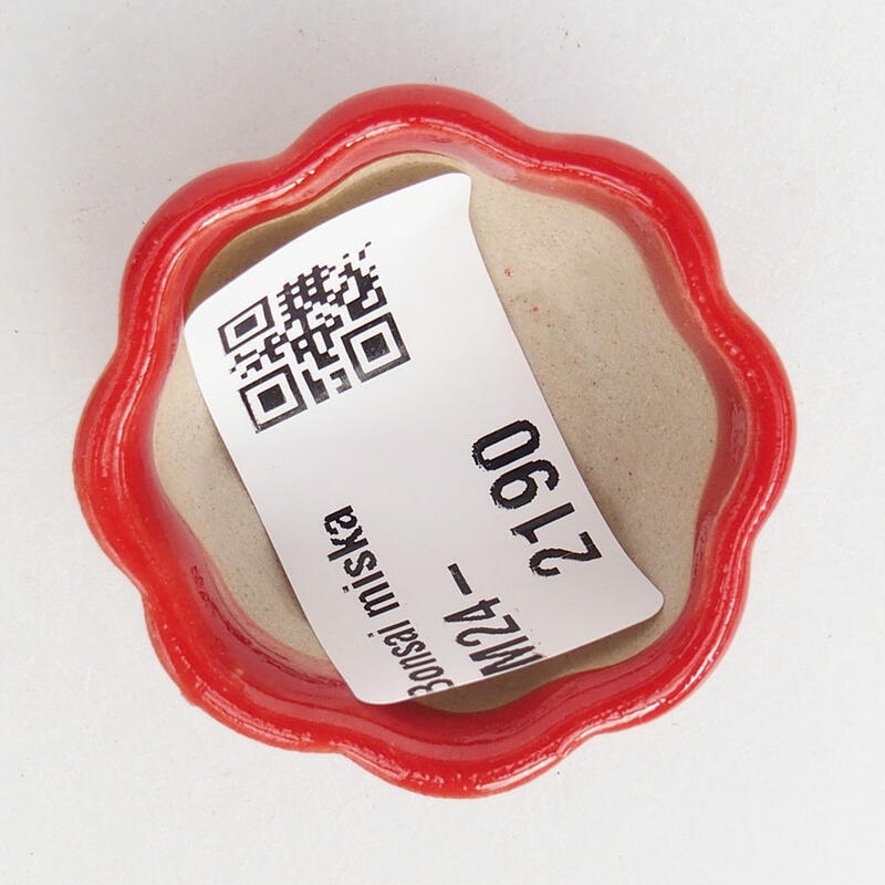Mini cuenco bonsái 3,5 x 3,5 x 2 cm, color rojo