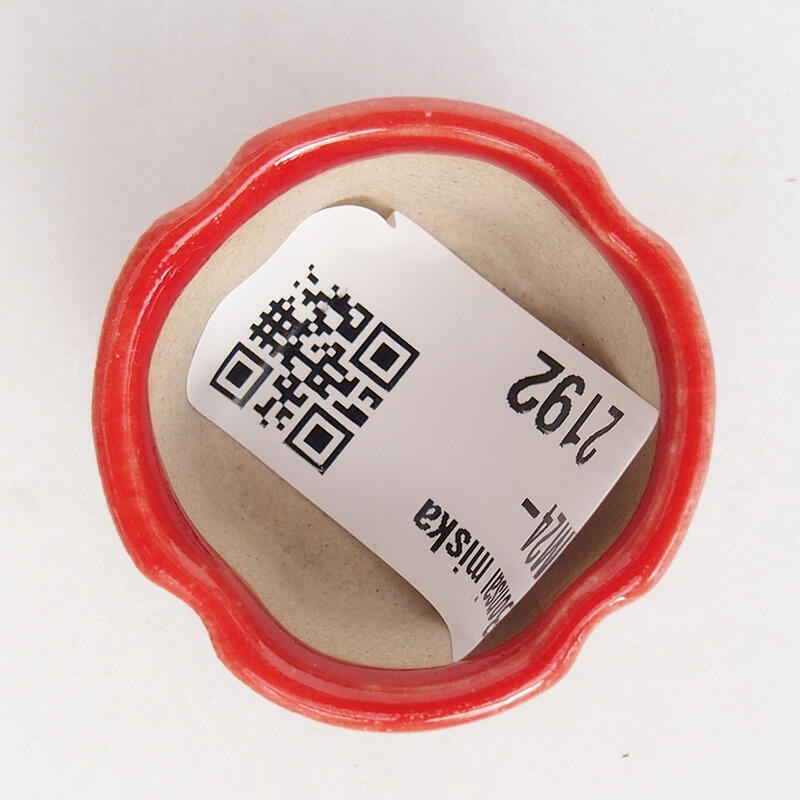 Mini cuenco bonsái 3,5 x 3,5 x 2 cm, color rojo