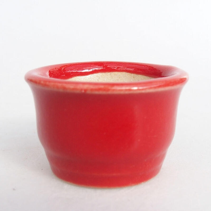 Mini cuenco bonsái 3,5 x 3,5 x 2 cm, color rojo