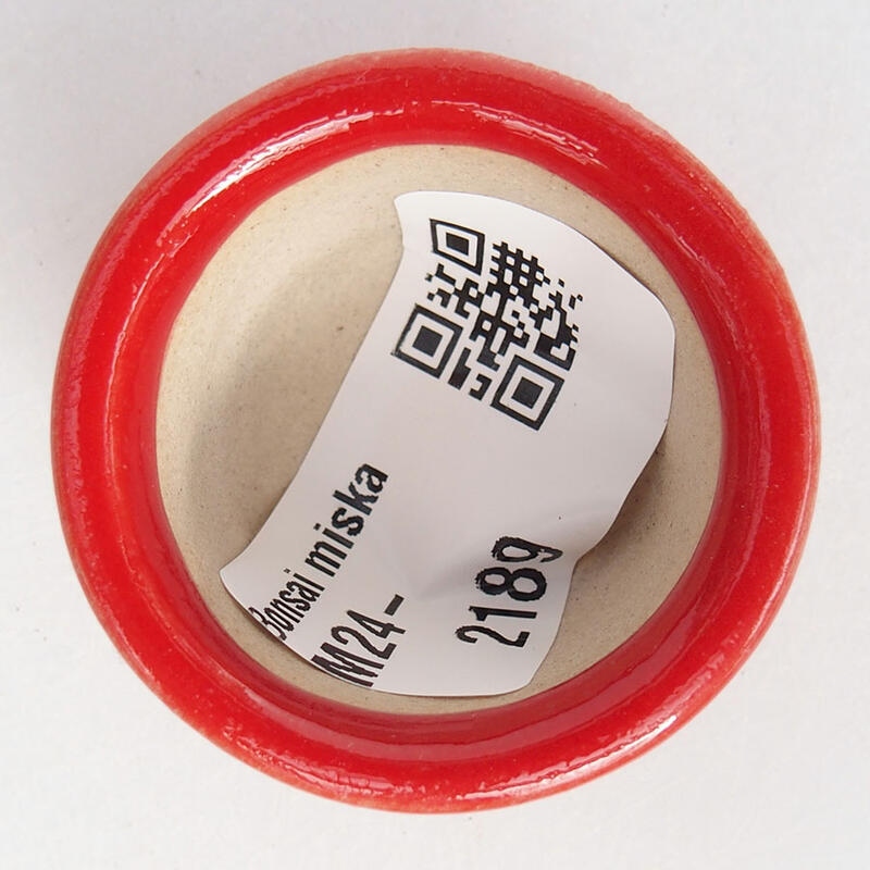 Mini cuenco bonsái 3,5 x 3,5 x 2 cm, color rojo