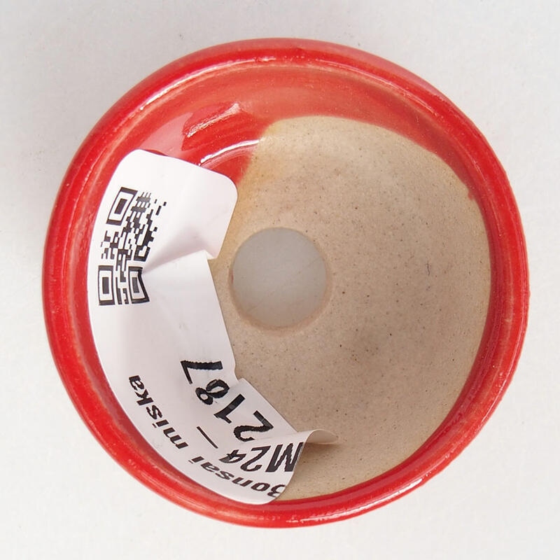 Mini cuenco bonsái 3,5 x 3,5 x 2 cm, color rojo