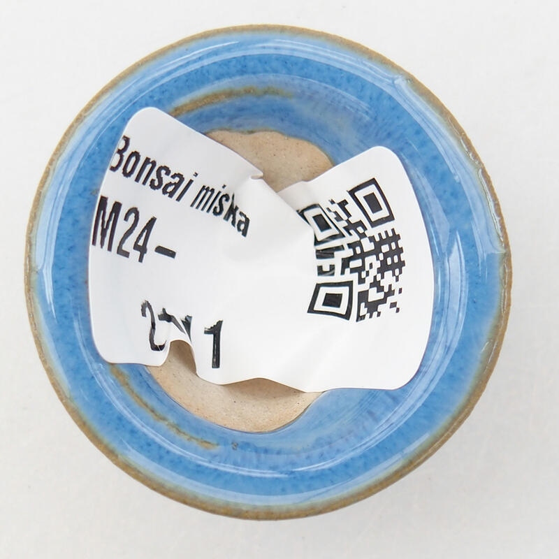 Mini cuenco bonsái 3,5 x 3,5 x 2 cm, color azul