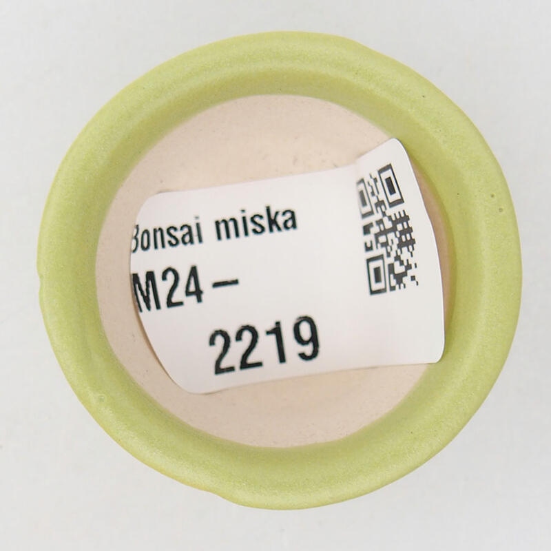 Mini cuenco bonsái 3,5 x 3,5 x 2 cm, verde