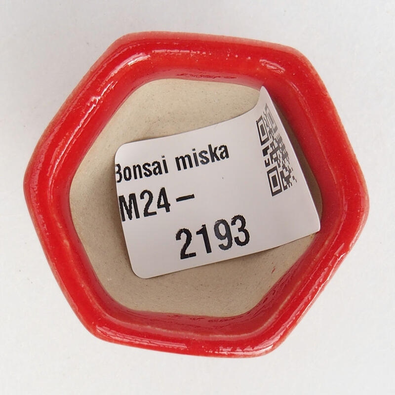 Mini cuenco bonsái 3,5 x 3,5 x 3 cm, color rojo