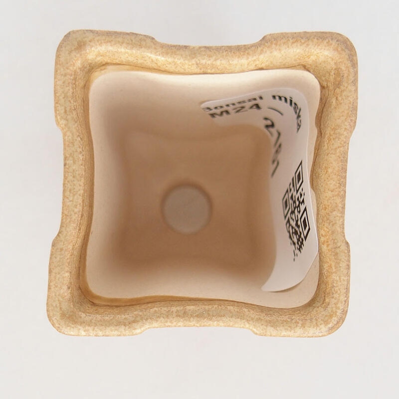 Cuenco mini bonsái 3,5 x 3,5 x 6 cm, marrón